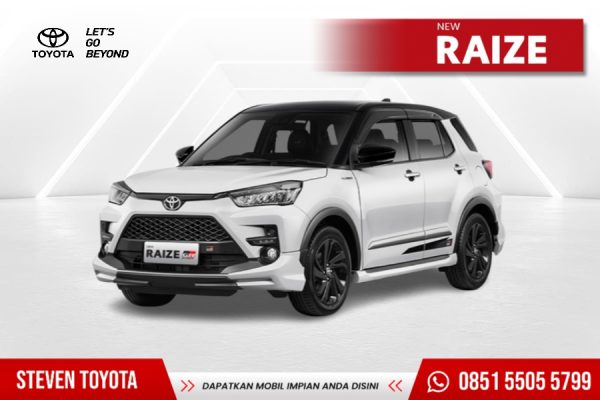 ALL NEW RAIZE